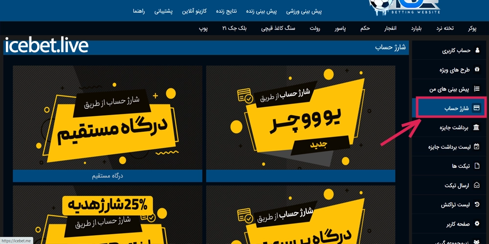 واریز و برداشت در سایت icebet