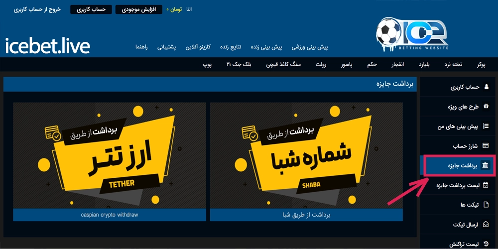 واریز و برداشت در سایت icebet